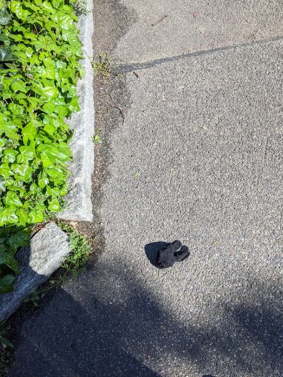 Black Glove 4 Black Glove 4