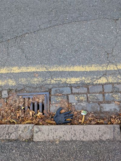 Black Glove 8 Black Glove 8