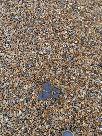 Black Glove 11 Black Glove 11