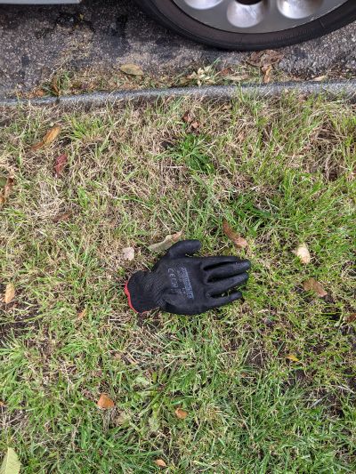 Black Glove 12 Black Glove 12