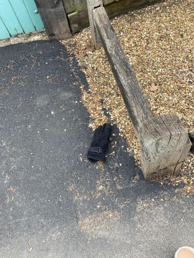 Black Glove 17 Black Glove 17