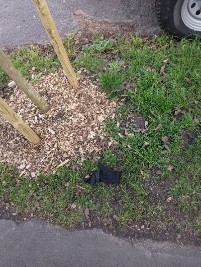 Black Glove 21 Black Glove 21