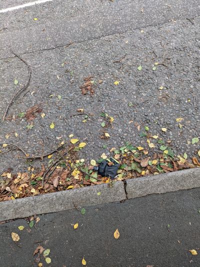 Black Glove 31 Black Glove 31