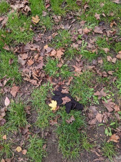 Black Glove 34 Black Glove 34