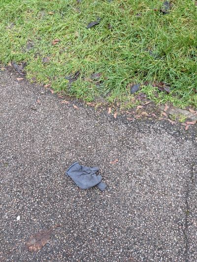 Black Glove 35 Black Glove 35