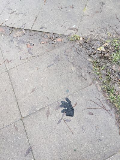 Black Glove 36 Black Glove 36