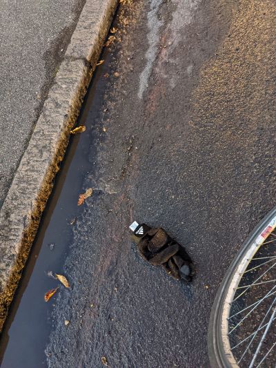 Black Glove 37 Black Glove 37