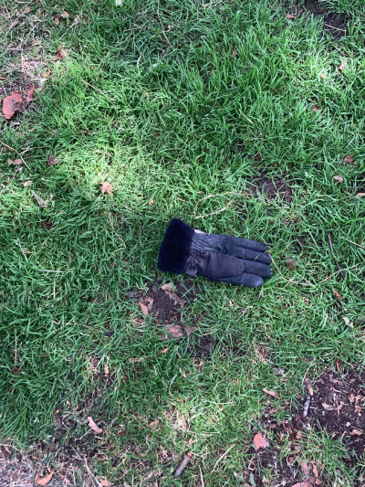 Black Glove 41 Black Glove 41