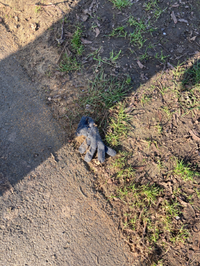 Black Glove 44 Black Glove 44