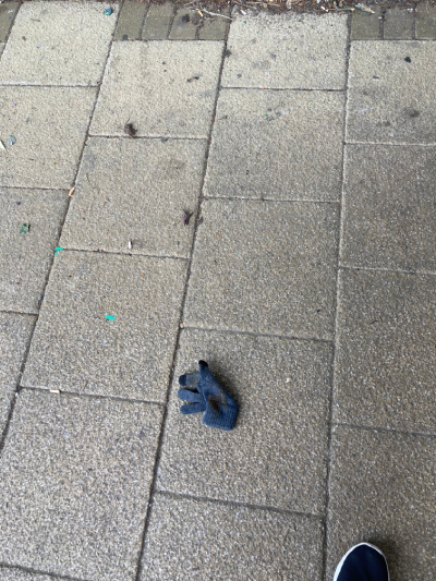 Black Glove 48 Black Glove 48