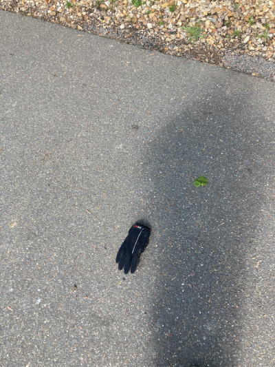 Black Glove 49 Black Glove 49