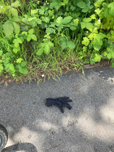 Black Glove 51 Black Glove 51