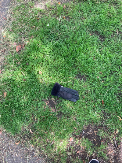 Black Glove 53 Black Glove 53