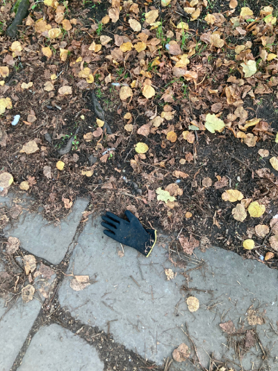 Black Glove 54 Black Glove 54