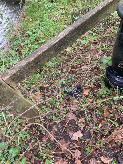 Black Glove 60 Black Glove 60