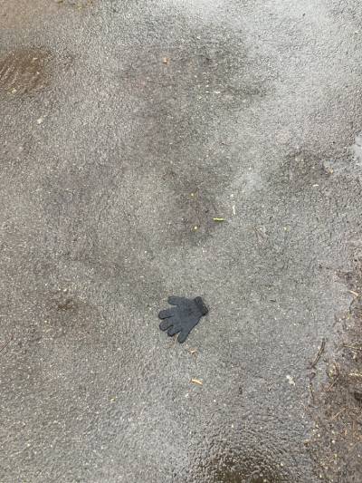 Black Glove 65 Black Glove 65