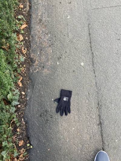 Black Glove 66 Black Glove 66