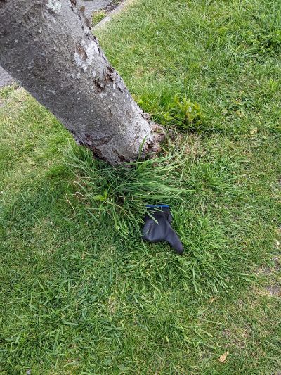 Black Glove 67 Black Glove 67