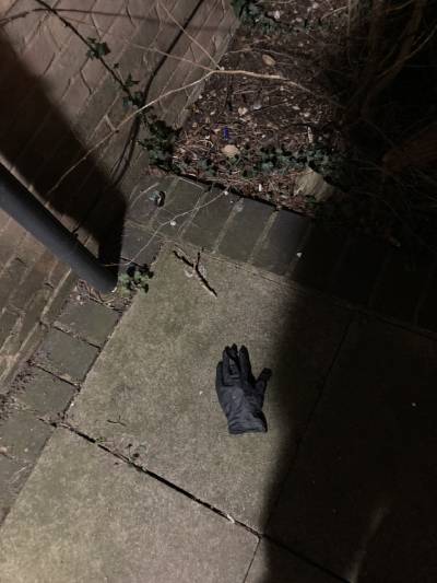 Black Glove 73 Black Glove 73