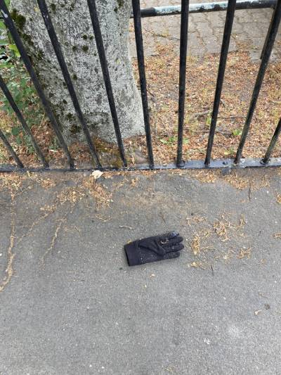 Black Glove 74 Black Glove 74